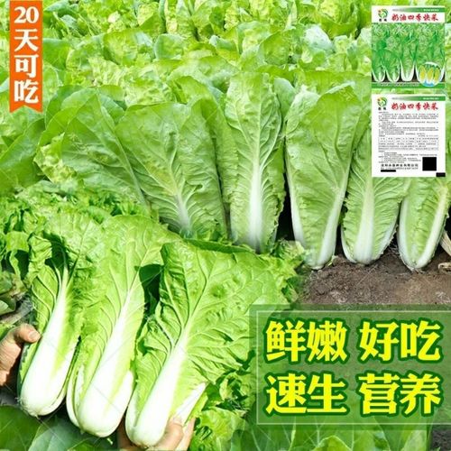 小汽车轮胎什么牌子好，实操经验分享